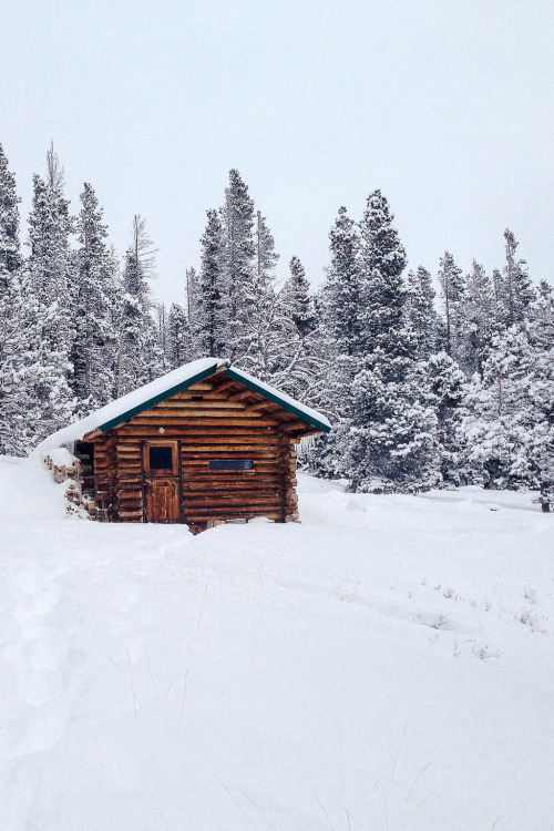  Snowy Cabin | © | AOI  adult photos