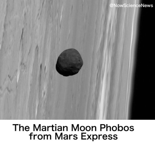 The Martian Moon Phobos from Mars Express