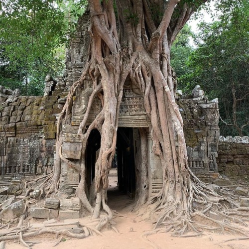 hinducosmos:Ta Som Temple, Angkor, CambodiaEerie, enchanted Ta Som temple near Angkor Wat. Looking f