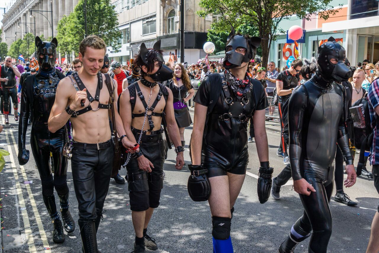 puppiesonladders:  Pups at London Pride 2015. photos by Archimedes Alpha (x2), Charles