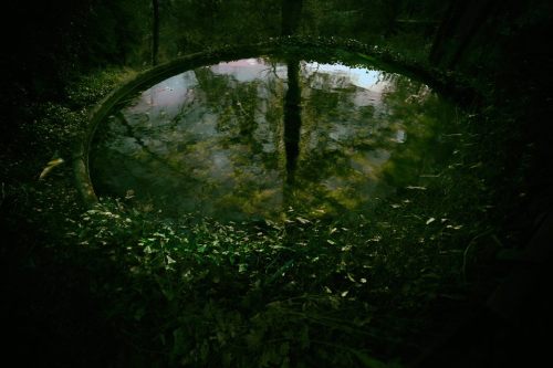 megarah-moon:  “Today, Sunday, Jan. 31, during a walk along the canal between Mougins and Moua