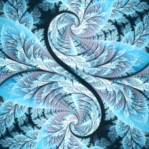 syareed: The Seasons Series - Winter, Spring, Summer, and Autumn Fractals created in Chaotica by Sya