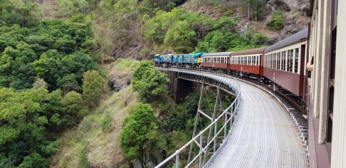 i-traveltheworld:  Skyrail Rainforest Cableway, Cairns, Australia❤️❤️