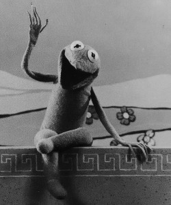 jimhenson-themuppetmaster:Kermit the Frog