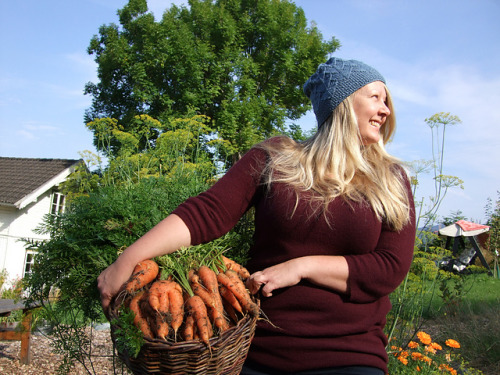 hqcreations:stitcherywitchery: Dragon Leaf Hat — a knitting pattern by Lucy Ringdahl.  Fr