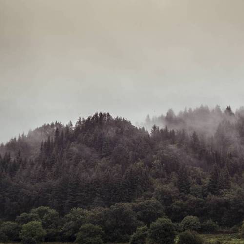 Misty mornings, coffee brewed in the camper van. #landscapephotography #wales #nature #mountains #mi