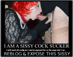 sissy-exposed:  Do you want to be exposed? Or want to expose any sissy who need to become famous? Submit on my tumblr http://sissy-exposed.tumblr.com 