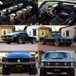 u-musclecars:1967 Ford Mustang Fastback  ——————————— #mustang #ford #falcon #torino #427 #fairlane #musclecar #hotrod #v8 #chevy #mopar #dodge #pontiac #camaro #chevelle #corvette #charger #challenger #gto #firebird  (en Naples,