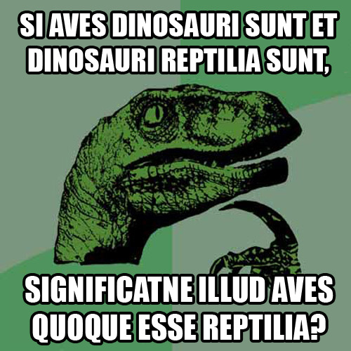 Si aves dinosauri sunt et dinosauri reptilia sunt,Significatne illud aves quoque esse reptilia?If bi