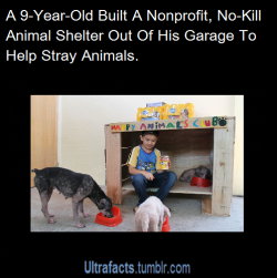 sassandcoffeecups:  g0dziiia:  syoish:  ultrafacts:  xofficialmainex:  ultrafacts:  His name is Ken. He has grown up dreaming about someday having a shelter to help the stray animals that live near his home, but he never dreamed he could reach his goal
