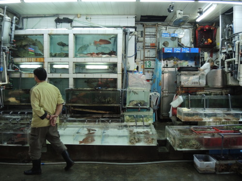 unstetig: fish wan chai, hong kong