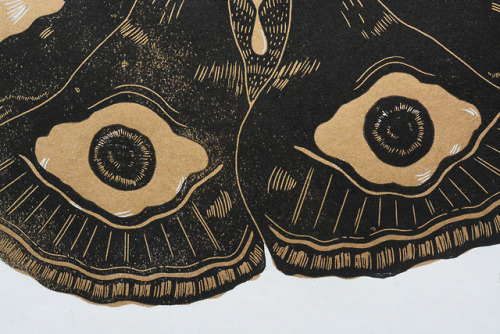 secretspaceship:“6 wings”“2 heads”“6 legs”linocuts from my exhib