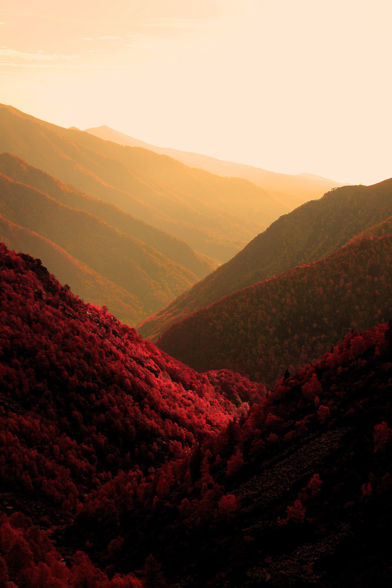 sundxwn:  Fall Memories by Marco Soggetto 