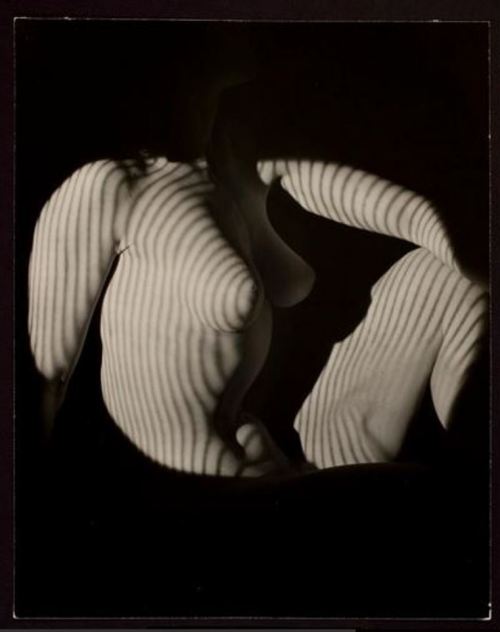 madivinecomedie:  Erwin Blumenfeld. Projection of Stripe Pattern on Nude 1945 See also 
