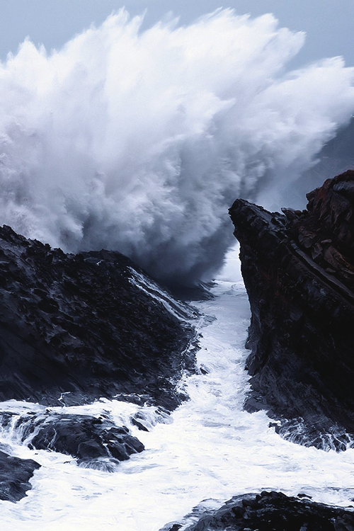 reals:  Orbion | Photographer 