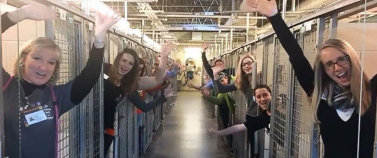  Animal Shelter Celebrates That All Its Dogs Were Adopted in Time for Christmas 
