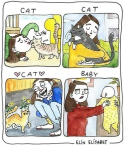 cat-memes-only: