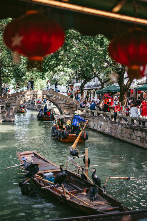  on our way back home from moganshan we visited the ancient water town tongli, dubbed “venice of the