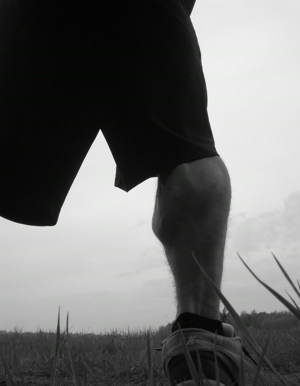 amateurpoles:  #95