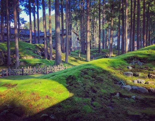 ＼おにわさん更新情報／ ‪[ 石川県小松市 ] 苔の里・叡智の杜 Hiyou Koke-no-Sato Moss Garden (Forest of Wisdom), Komatsu, Ishikaw