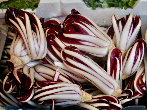 Verdura invernale viola e bianca (radicchio?), Mercato del campo di fiori, Roma, 2019.Radicchio is a