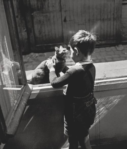 Willy Ronis , Le Chat de la concierge, Paris,