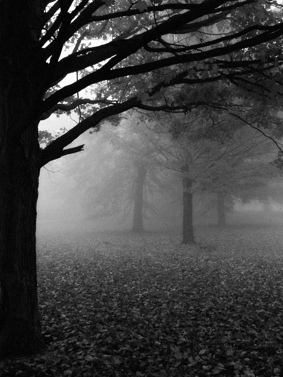 belzebrenda:  by ~frozenstocks 