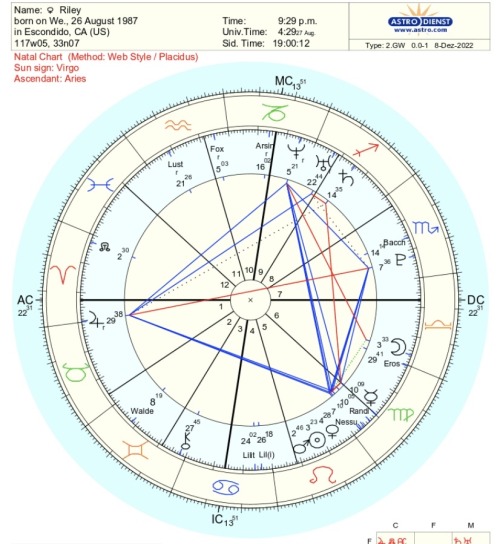 WHATS IN THE CHART OF AN ADULT MOVIE STAR?