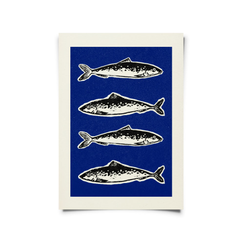 SARDINE