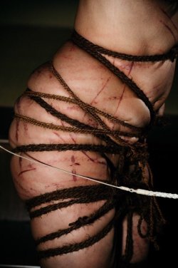 hornyhouseofhorror: Kinbaku Kasumi HouraiModel