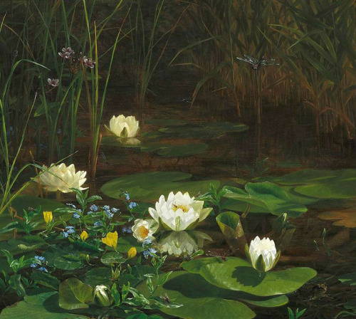 dayintonight:Forest Lake with Blooming Water Lilies and InsectsAnthonore Christensen c.1900