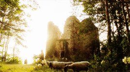 DUNCAN TARGARYEN & JENNY OF OLDSTONES