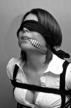 http://gaggedfantasies.tumblr.com/post/75186503242