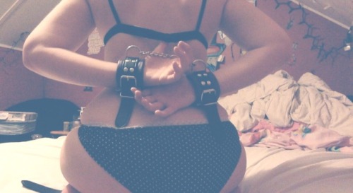 xxii-mmxi: Can someone come play with me? A pet gets really frisky before her bed time. 