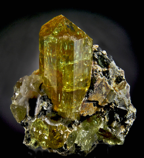 bijoux-et-mineraux:  Fluorapatite - Cerro de Mercado, Victoria de DurangoDurango, Mexico 