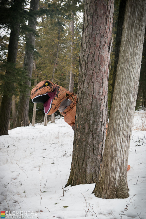 This is what happens when you invite a Dinosaur to your Dragon Age Shoot  Photographer - Elemental P