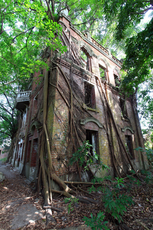 I LOVE IT WHEN NATURE TAKES IT BACK
