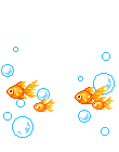 goldies