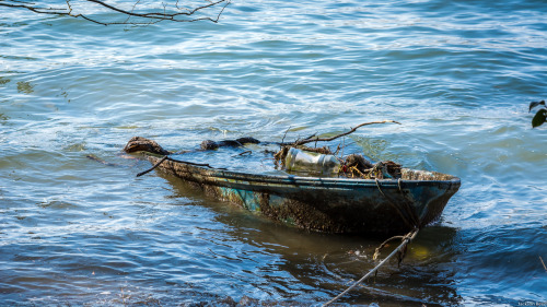 A row boat of the coast of matsushima bay