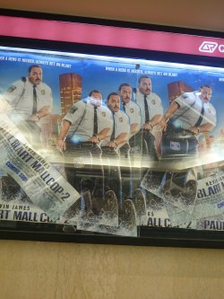 beef-princess:  This Paul Blart Mall Cop