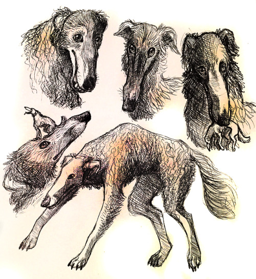 Some weird horses