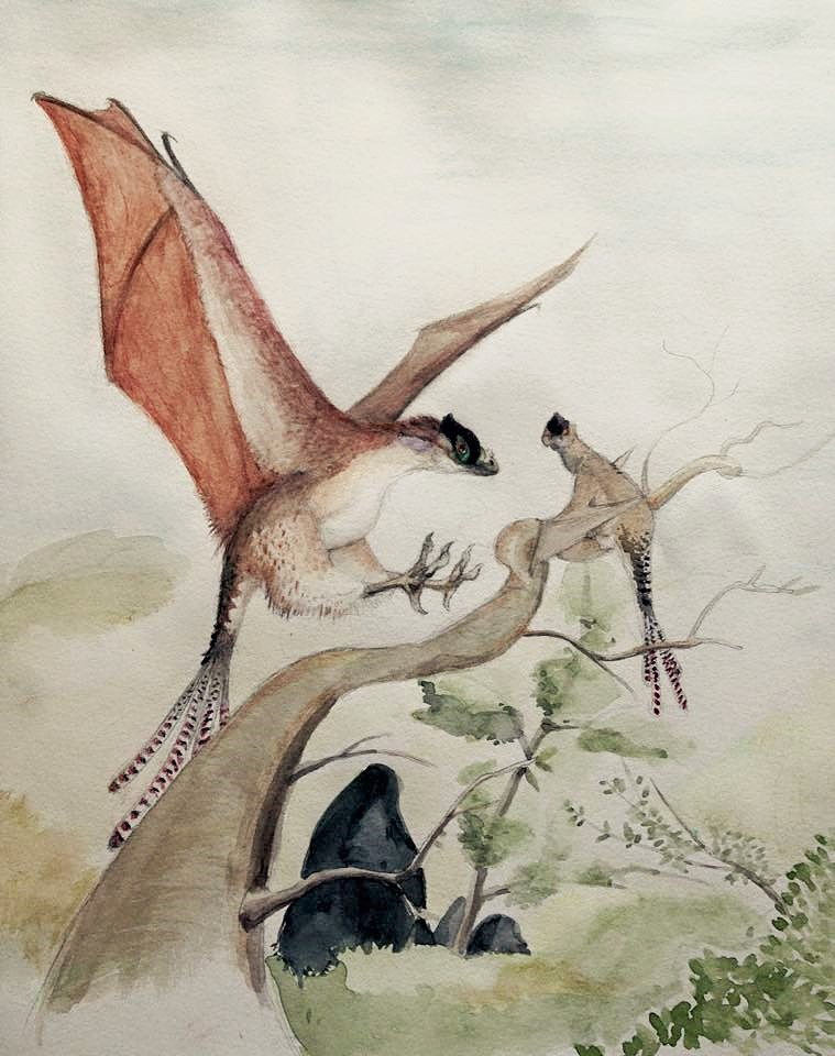 a-dinosaur-a-day.com