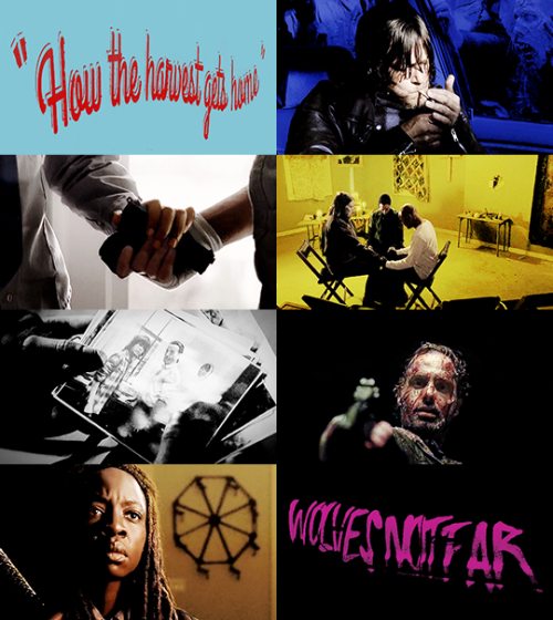 TRAP. BAD PEOPLE COMING. DON’T STAY.