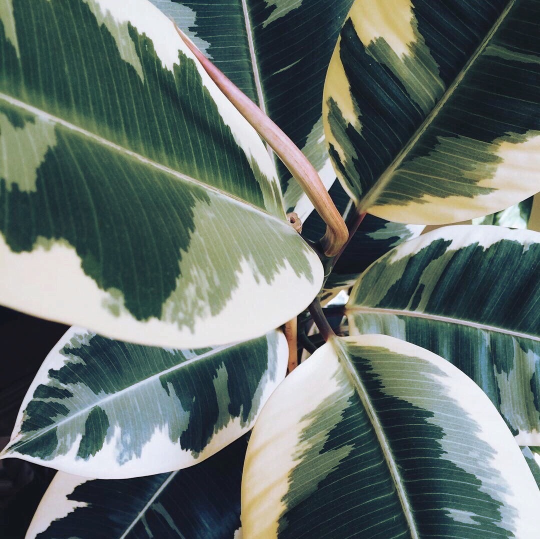 1010ll: https://instagram.com/p/BORNUExBHbF/