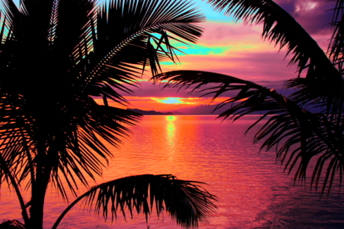 style-is-vital:  surfursparadise:  ☀follow for more summer☀  Love this!