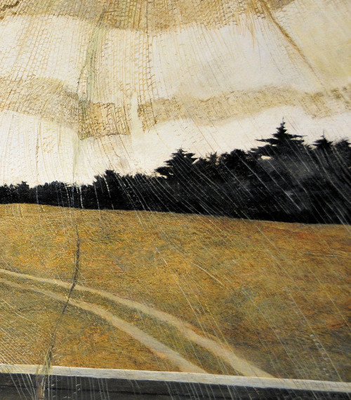 likeafieldmouse:Andrew Wyeth - Wind from the Sea (1947)