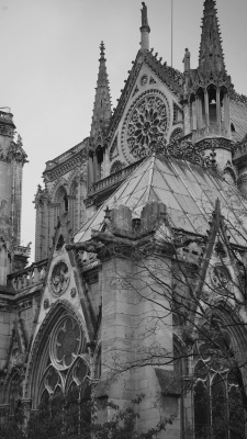 excelsior-praeteritum:  Cathédrale Notre-Dame de Paris - South view of Notre Dame de Paris by Gene Wolery  