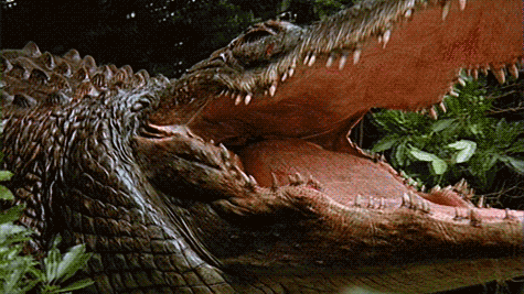 Porn  Alligator (1980)  photos