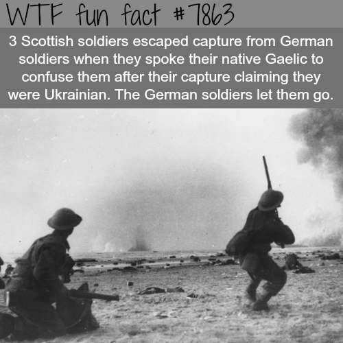 wtf-fun-factss - How these Scottish soldiers escaped German...