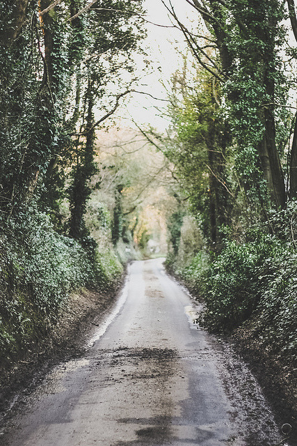 oh-haroo:  Personal - Nature 